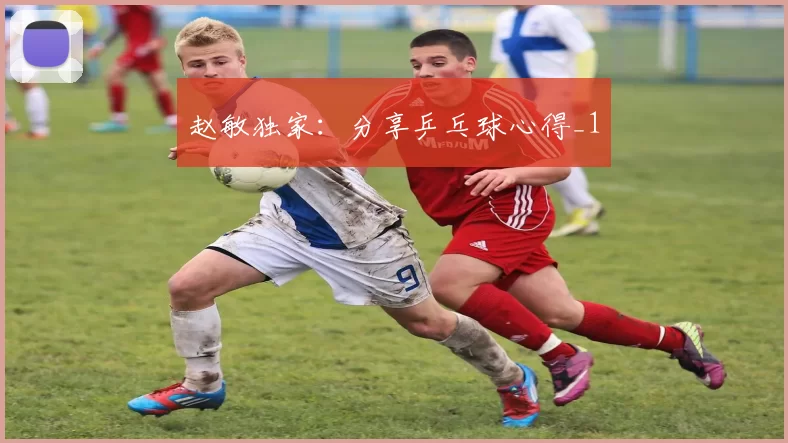 赵敏独家：分享乒乓球心得_1