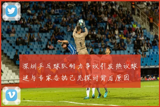 深圳乒乓球队耐力争议引发热议球迷与专家各执己见探讨背后原因