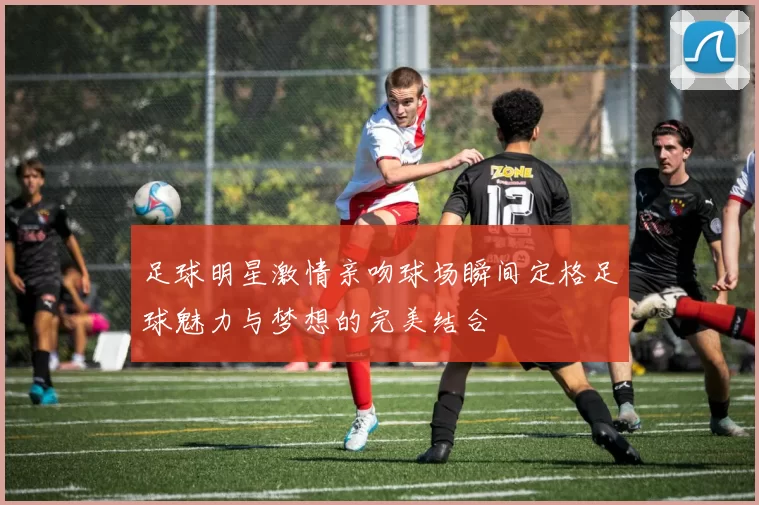 足球明星激情亲吻球场瞬间定格足球魅力与梦想的完美结合