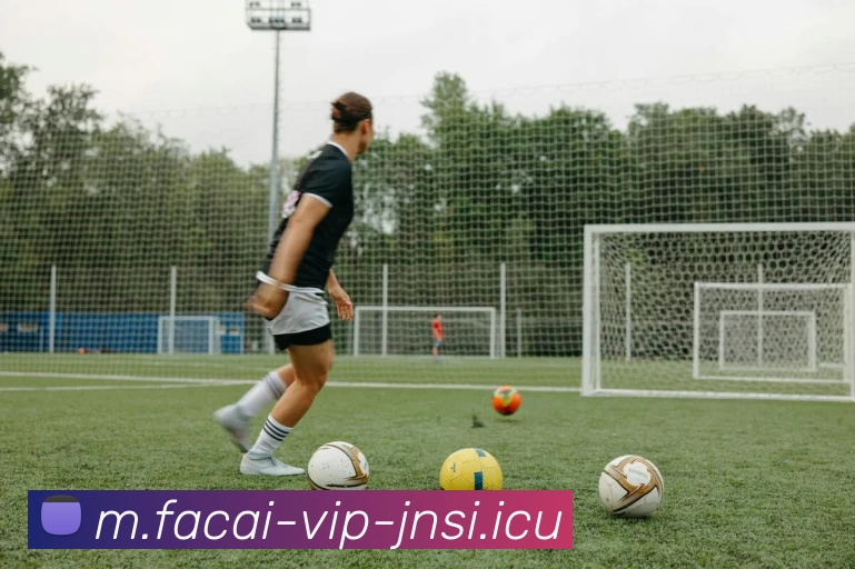 星空体育注册发展历程